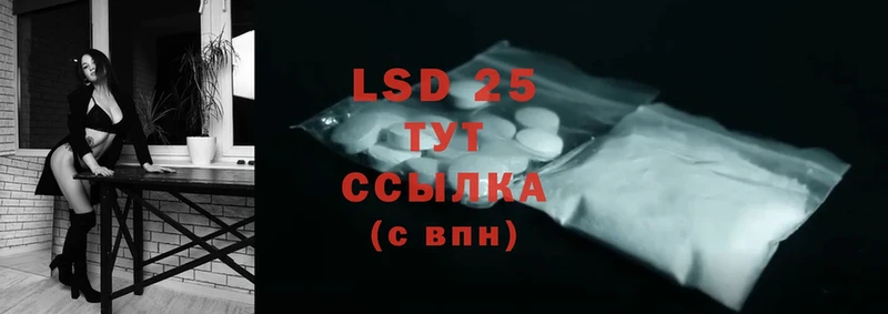 kraken ONION  продажа наркотиков  Порхов  LSD-25 экстази кислота 